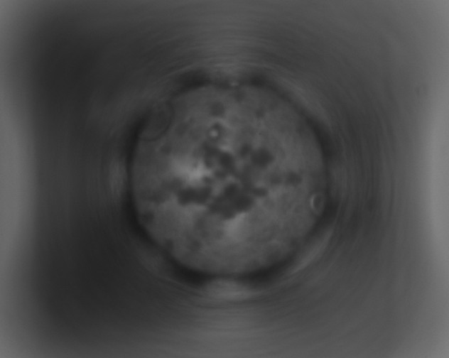 X0000101430699200807071342