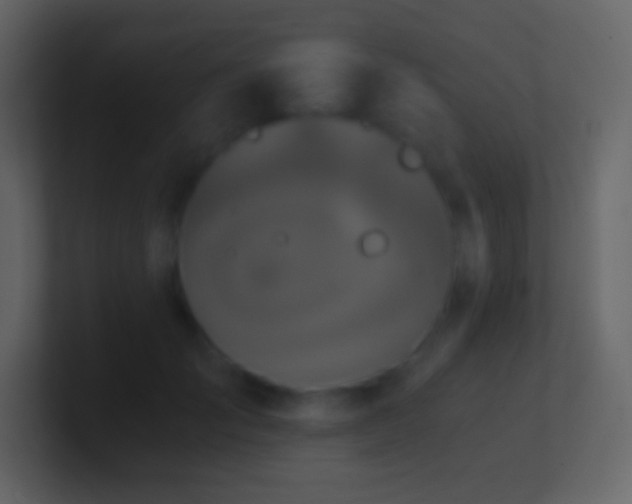 X0000101430701200807071342