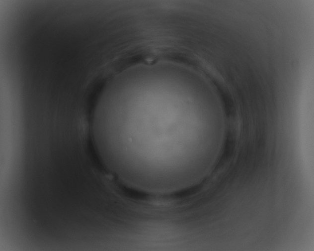 X0000101430703200807071342