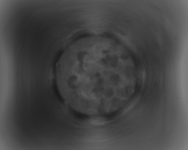 X0000101430707200807071342