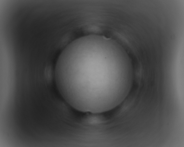 X0000101430708200807071342