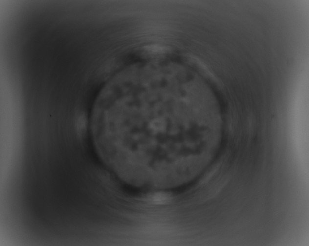 X0000101430711200807071342