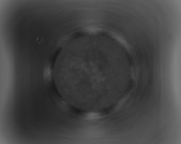 X0000101430718200807071342