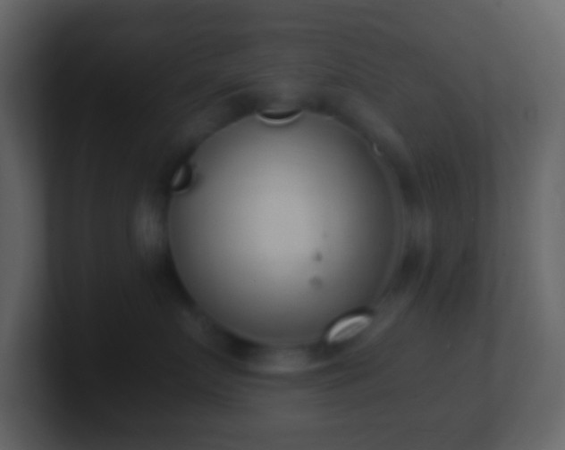 X0000101430719200807071342