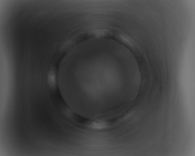 X0000101430720200807071342