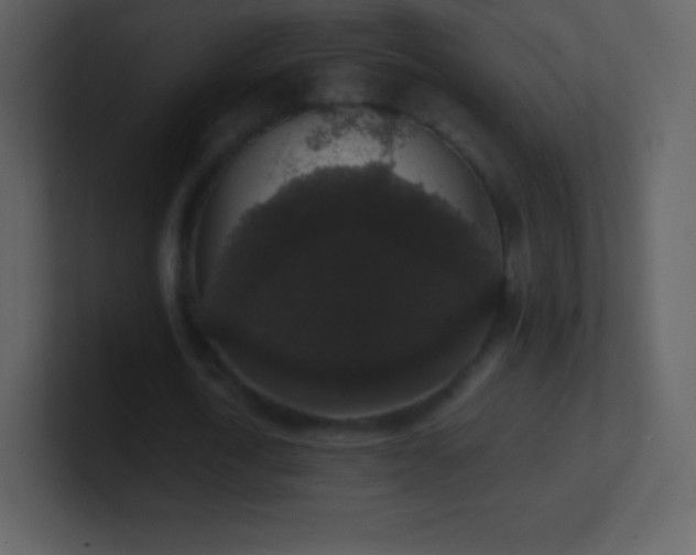 X0000101430722200807071341
