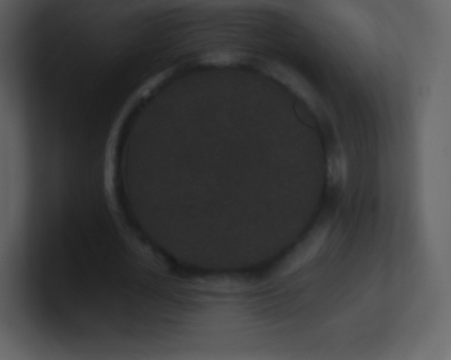 X0000101430724200807071341