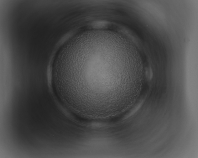 X0000101430725200807071341