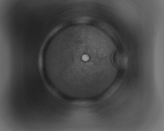 X0000101430726200807071341