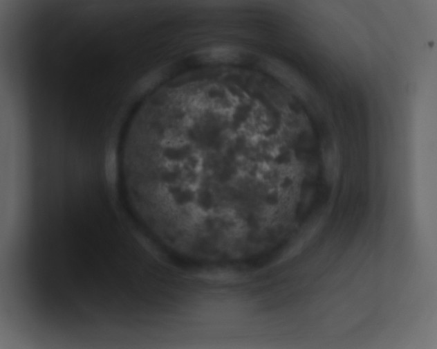 X0000101430729200807071341