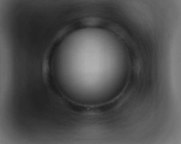 X0000101430731200807071341