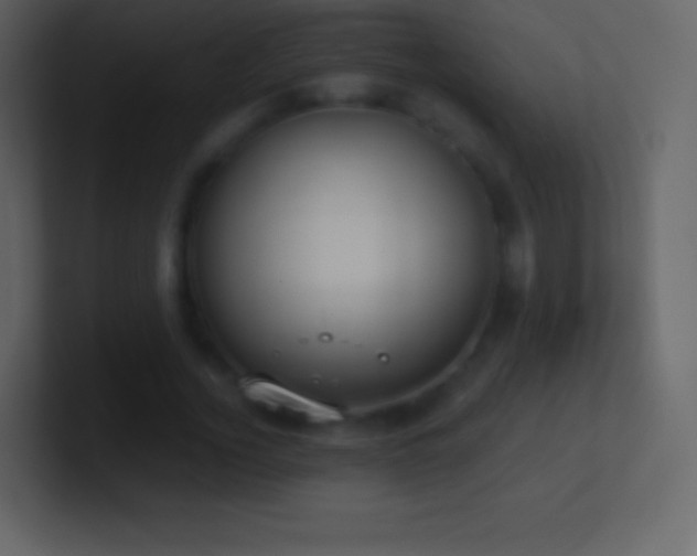 X0000101430732200807071341