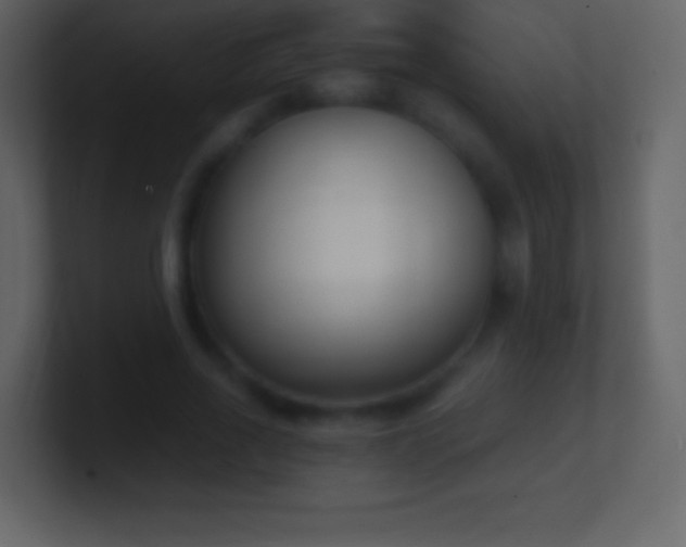 X0000101430734200807071341