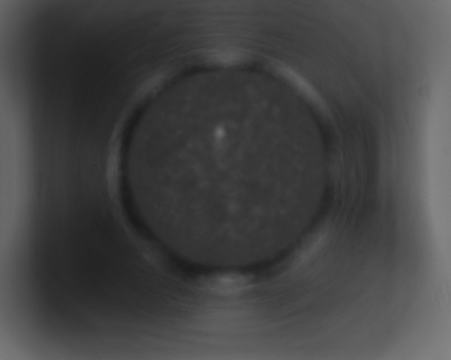X0000101430736200807071341