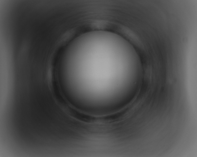 X0000101430738200807071341