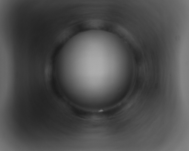 X0000101430739200807071341