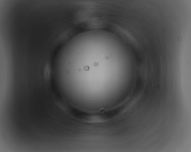 X0000101430741200807071341