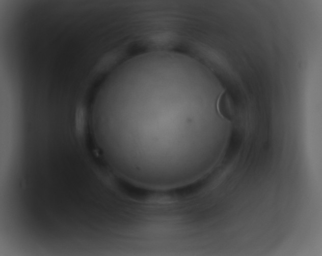 X0000101430742200807071341