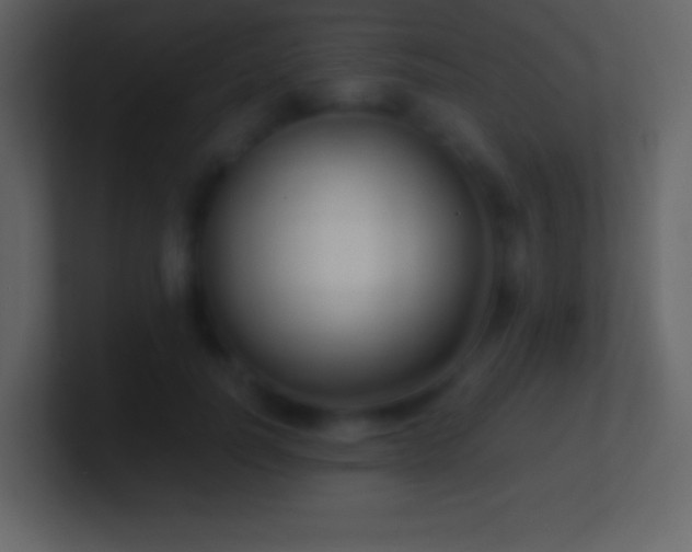 X0000101430746200807071341