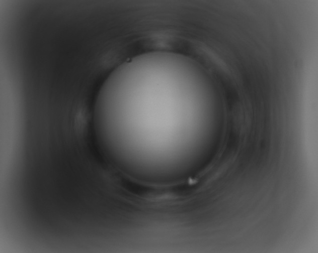 X0000101430747200807071341