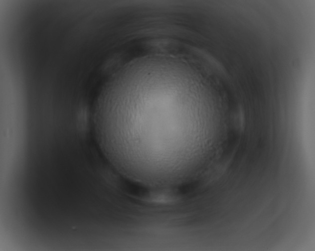 X0000101430757200807071341