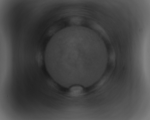 X0000101430759200807071341