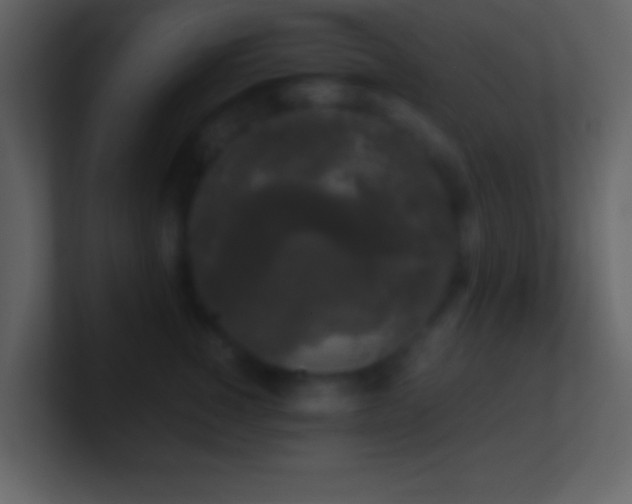 X0000101430760200807071341