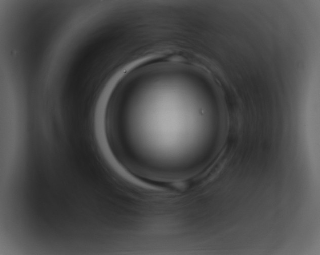 X0000101430762200807071341