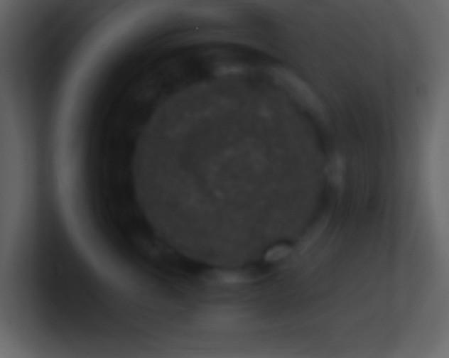 X0000101430763200807071341