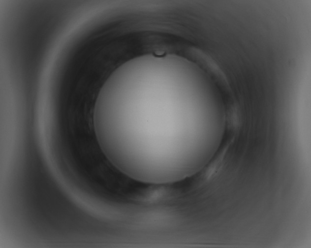 X0000101430764200807071341