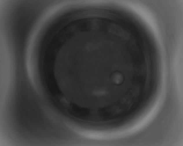 X0000101430766200807071341