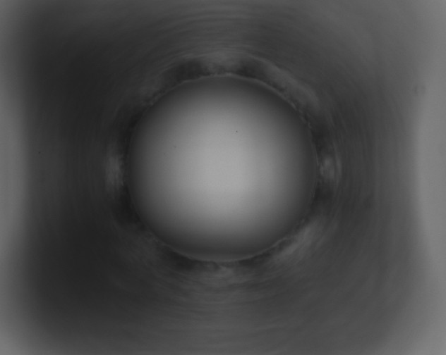 X0000101430772200807071341