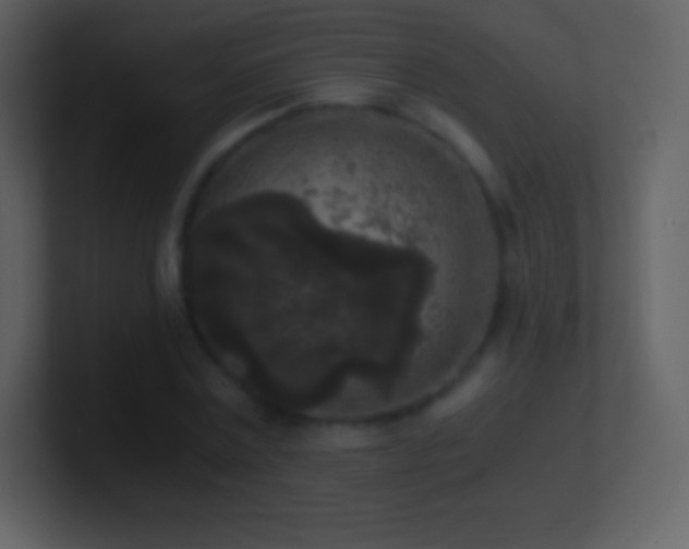 X0000101430779200807071341