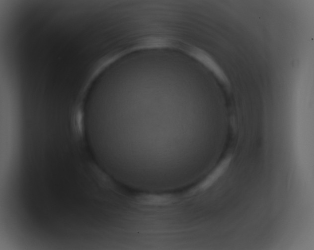 X0000101430781200807071341