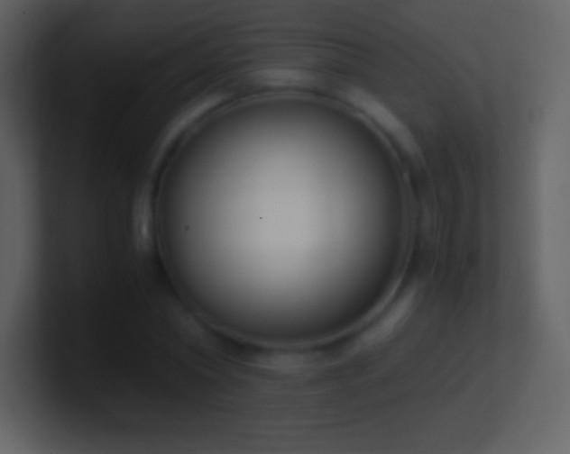 X0000101430782200807071341