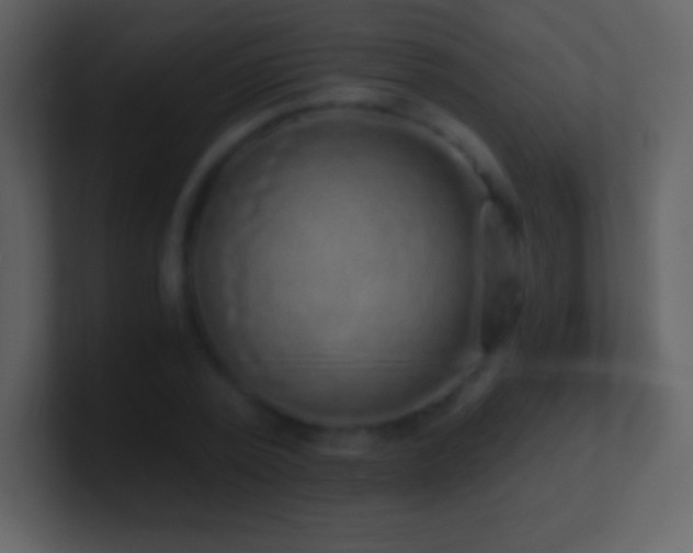 X0000101430784200807071341