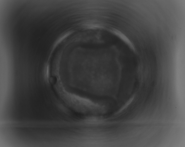 X0000101430790200807071341