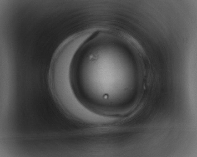 X0000101430796200807071341