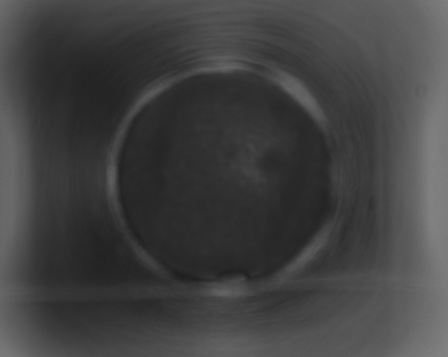 X0000101430797200807071340