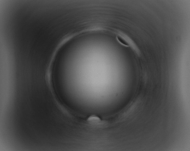 X0000101430805200807071340