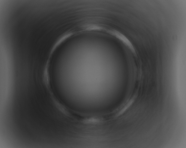 X0000101430806200807071340
