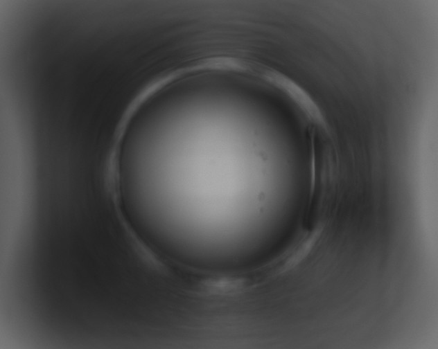 X0000101430808200807071340