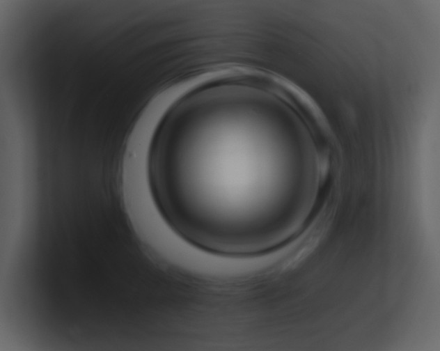 X0000101430809200807071340