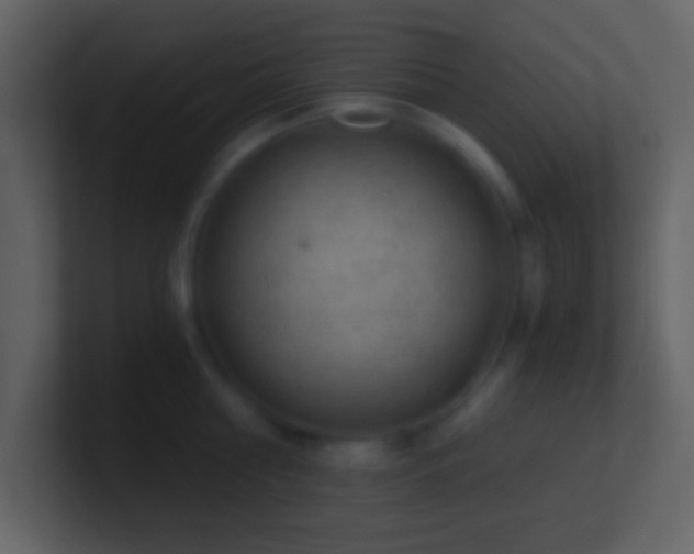 X0000101430810200807071340