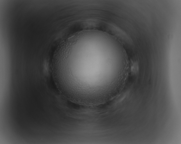 X0000101430819200807071340