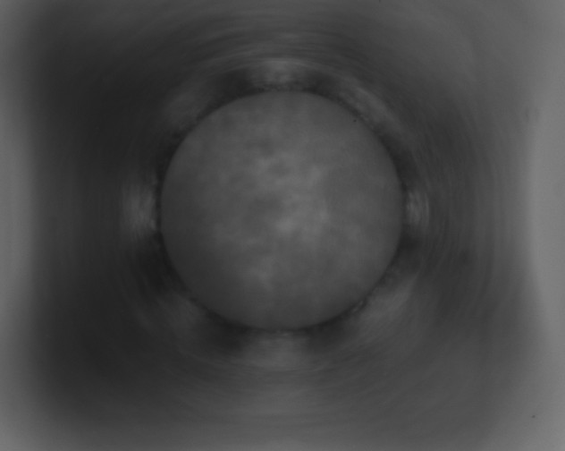 X0000101430820200807071340