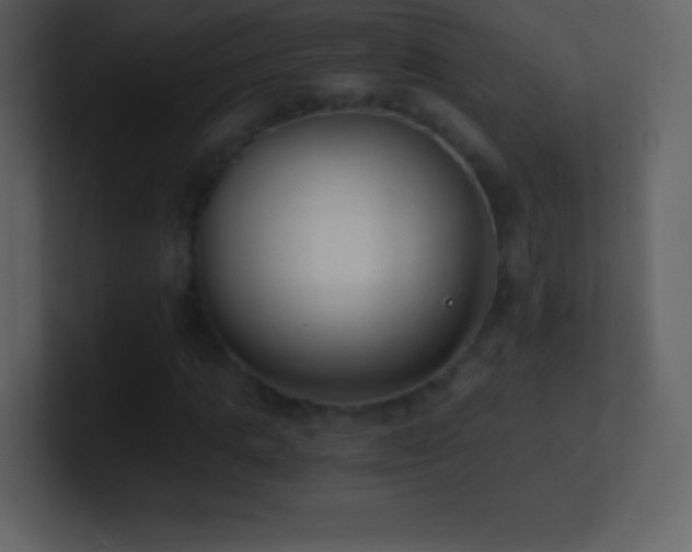 X0000101430821200807071340