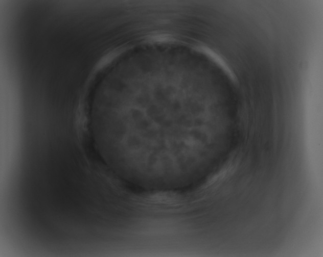 X0000101430823200807071340