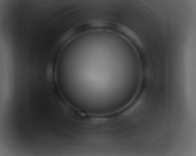 X0000101430825200807071340