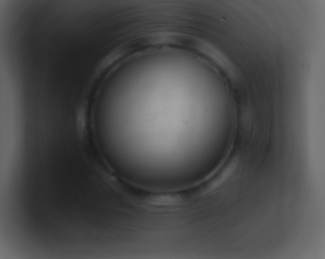 X0000101430826200807071340